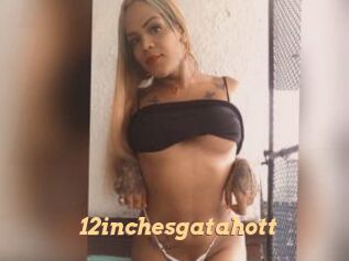 12inchesgatahott