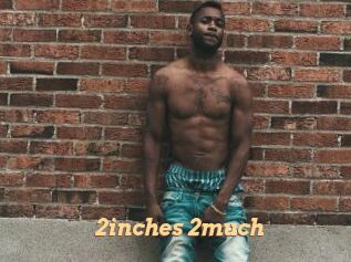 2inches_2much