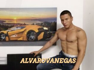 ALVAROVANEGAS