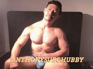 ANTHONYSUBCHUBBY
