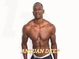 ANTUAN_DEEP Live Paradise