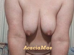 AcaciaMae