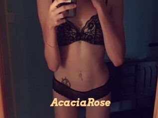 AcaciaRose