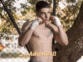 AdamBull