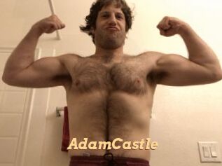 AdamCastle Live Paradise
