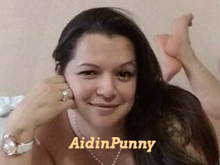 AidinPunny