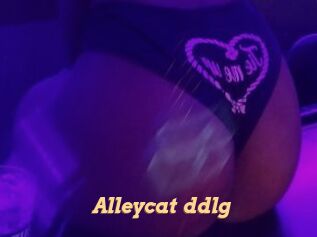 Alleycat_ddlg