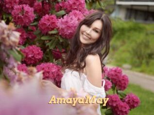 AmayaMay Live Paradise