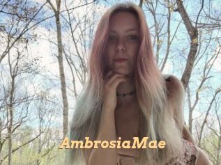 AmbrosiaMae