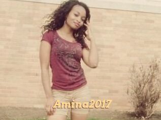 Amina2017