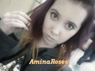 AminaRoses Live Paradise