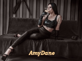 AmyDane Live Paradise