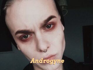Androgyne Live Paradise