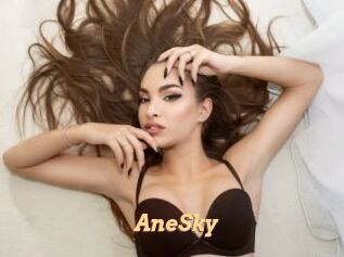AneSky
