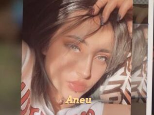 Aneu