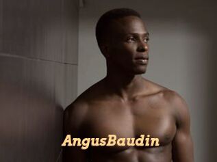 AngusBaudin