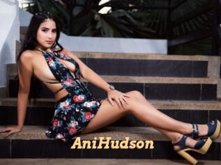 AniHudson