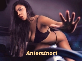 Anieminori