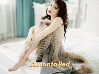 AntoniaRed Live Paradise