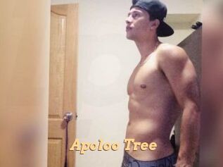 Apoloo_Tree Live Paradise