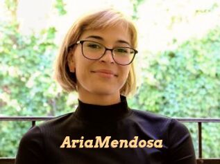 AriaMendosa