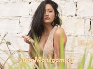 AriaMontgomery