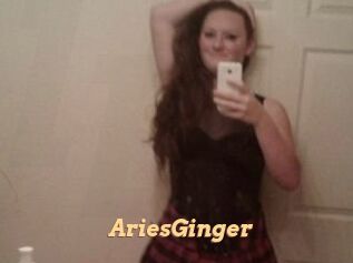 AriesGinger