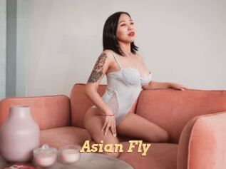 Asian_Fly