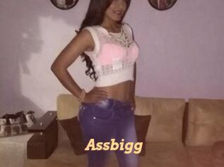 Assbigg