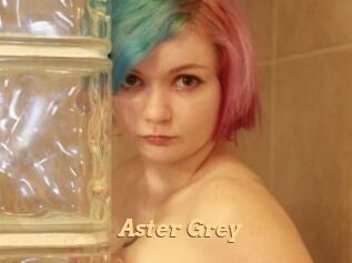 Aster_Grey