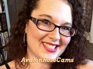 AvalonRoseCams