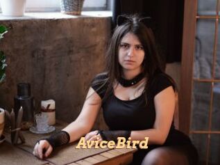 AviceBird