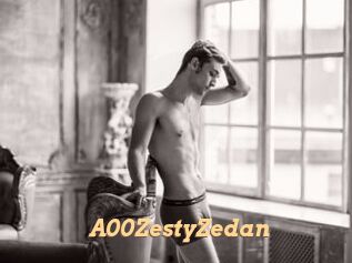 A00ZestyZedan