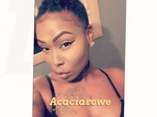 Acacia_rowe