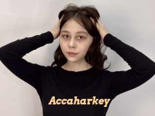 Accaharkey