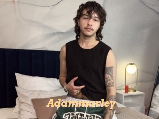 adammarley Live Paradise