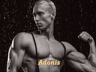 adonis_ Live Paradise