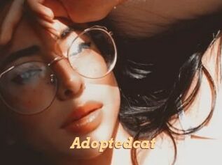 Adoptedcat