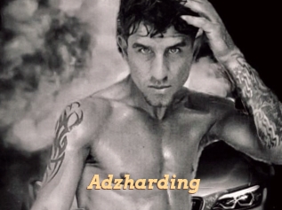 adzharding Live Paradise