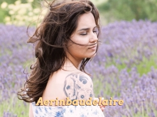 Aerinbaudelaire