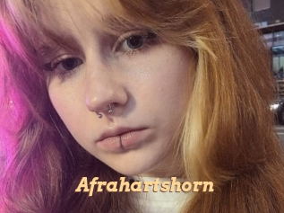 Afrahartshorn