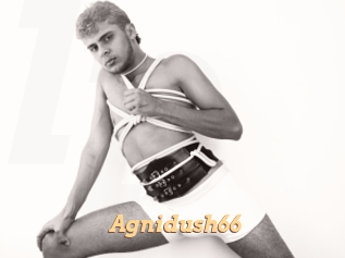 Agnidush66