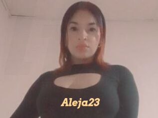 Aleja23