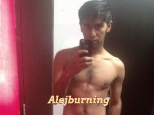Alejburning