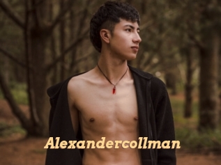 alexandercollman Live Paradise