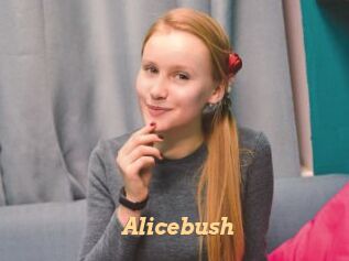 Alicebush