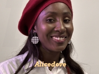 Alicedove