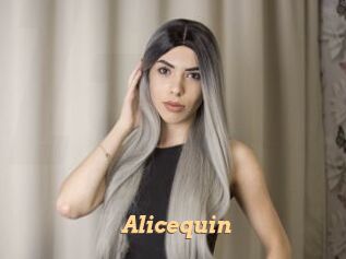 Alicequin