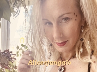 alicesjungalo Live Paradise