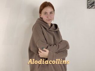 Alodiacollins